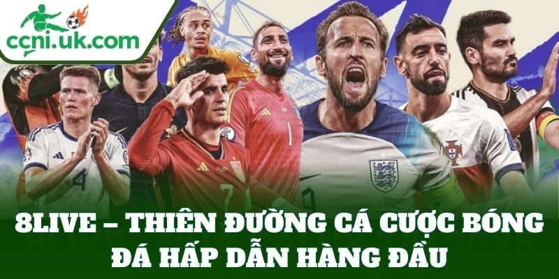 8LIVE – Thiên Đường Cá Cược Bóng Đá Hấp Dẫn Hàng Đầu