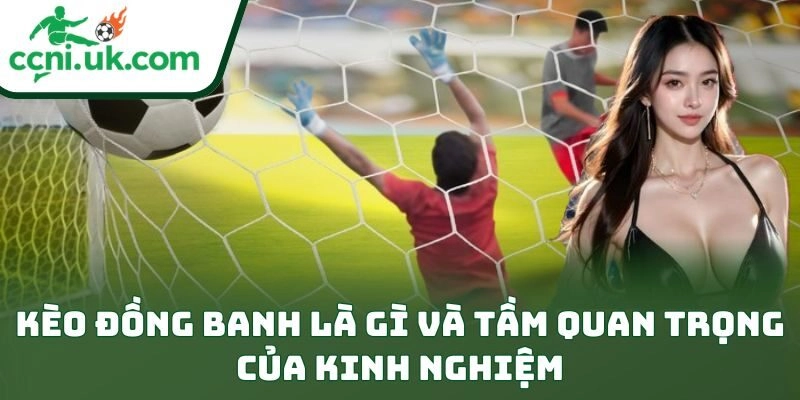 Kèo đồng banh là gì và tầm quan trọng của kinh nghiệm